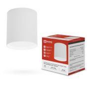 Светильник потолочный НПБ-ЦИЛИНДР-GX53 TBM-WH 80х90мм белый IN HOME