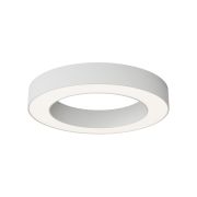 Потолочный светильник Technical C093CL-36W4K-W