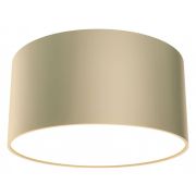 Потолочный светильник Technical C032CL-12W4K-RD-MG