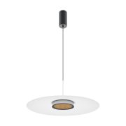 Подвесной светильник Maytoni MOD041PL-L15W3K1