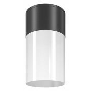 Потолочный светильник Outdoor O418CL-01B