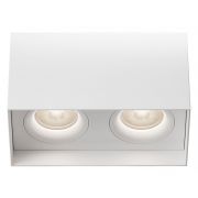 Потолочный светильник Technical C015CL-02W