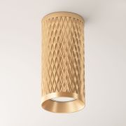 Потолочный светильник Technical C036CL-01G