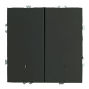Выключатель 2-клавишный c индикатором (механизм), STEKKER, 250В, 10А, серия Эмили, RSW10-5102-05, черный уголь, soft touch