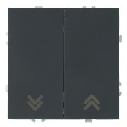 Выключатель 2-клавишный самовозвратный (механизм), STEKKER, 250В, 10А, серия Эмили, RSW10-5113-05, черный уголь, soft touch